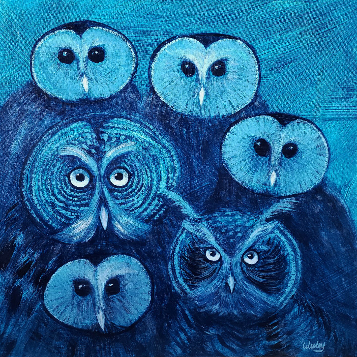 Six owls.