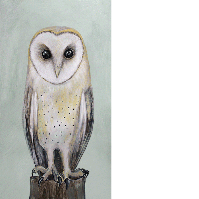 A painting of a barn owl comes to life as the owl begins to take in its environment, including aiming its gaze at us.
