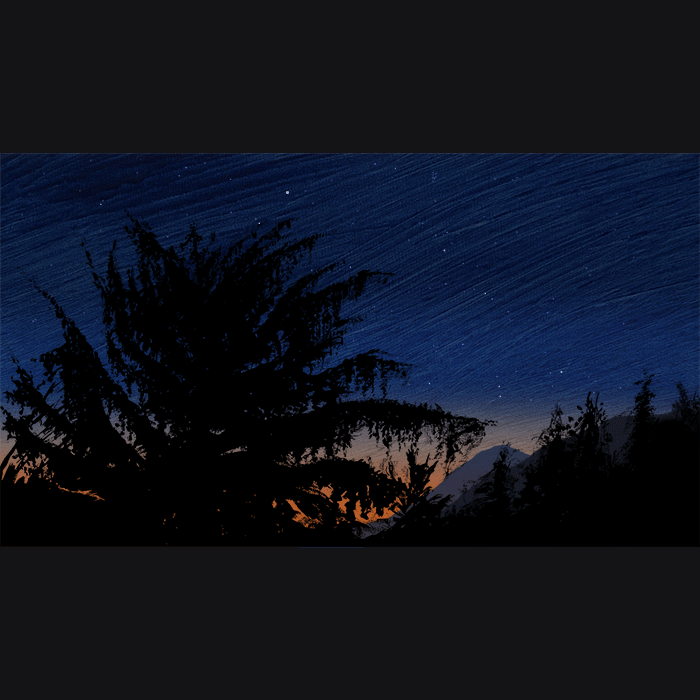 Two nighthawks flying at dusk under the constellations of the early winter night sky looking east.