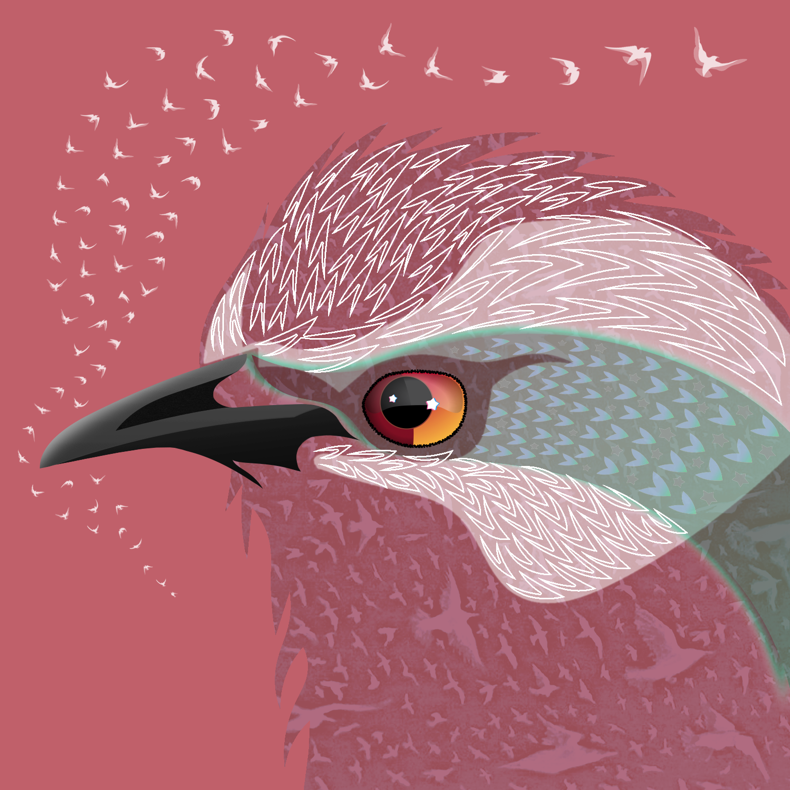 A hybridized viersion of a starling in complied from random parts of other starlings.