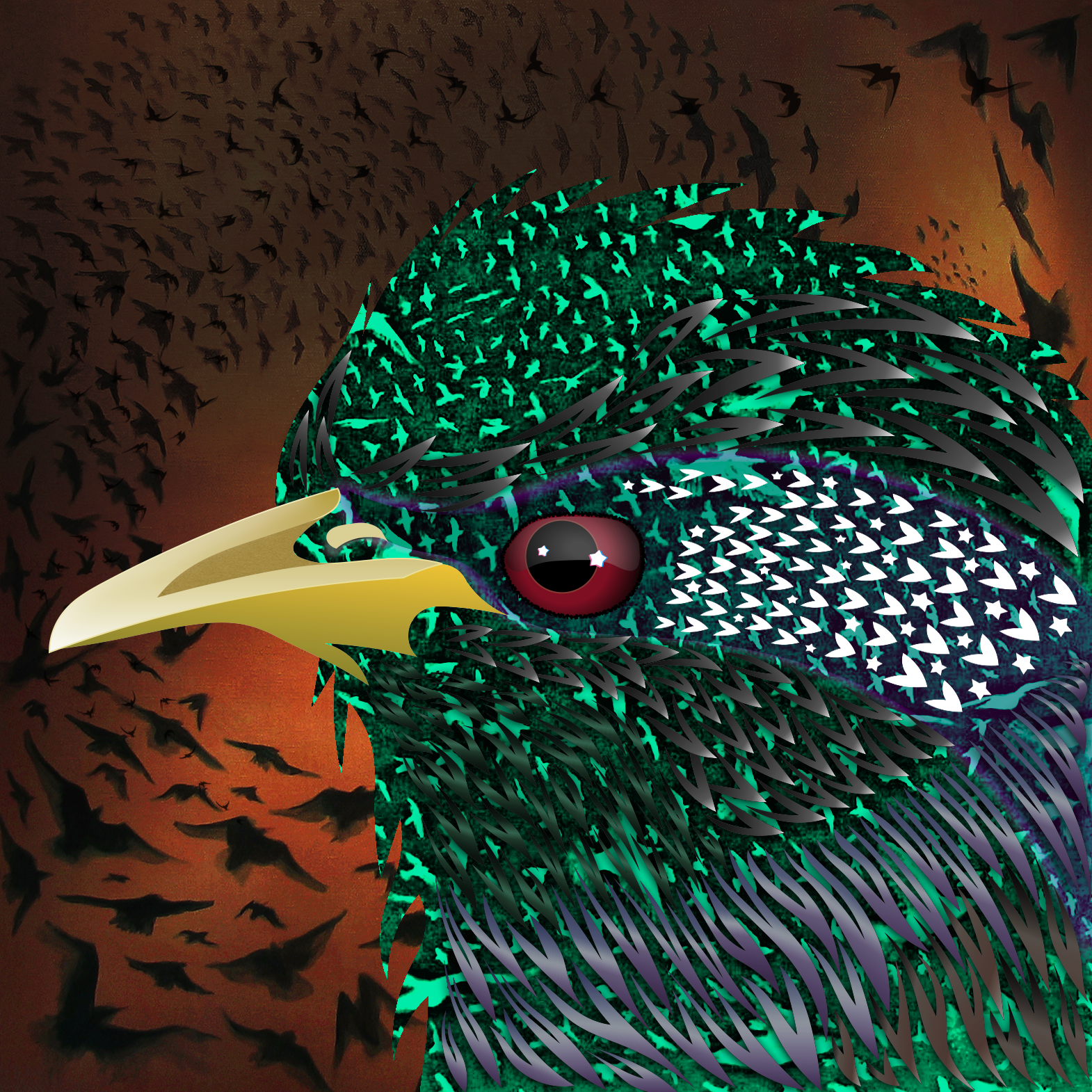 A hybridized viersion of a starling in complied from random parts of other starlings.