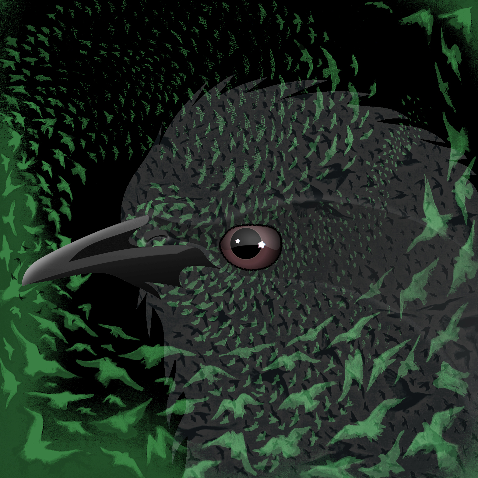 A hybridized viersion of a starling in complied from random parts of other starlings.